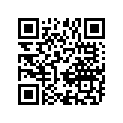 13383-28C30 Needle, Jet (6aej01-60)