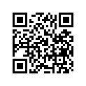 13383-28C70 .needle, Jet (6ael01-60-3)