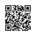 13383-31310-000 Jet, Main
