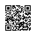 13383-31E10 .needle, Jet (5dft13-1)
