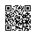 13383-33C00-000 