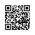13383-33E10 .jet, Needle (6e39-55-1)