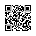 13383-33E20 .jet, Needle (6e41-55-1)