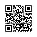 13383-35G10 Needle, Jet (ncvp)