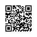 13383-35G40 Needle, Jet (ncyr)