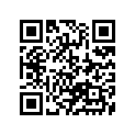 13383-35G60 Needle, Jet (ncys)