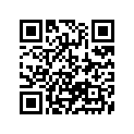 13383-37E50 Needle, Jet (niee)
