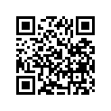 13383-37EE0 Needle, Jet (n0zi)