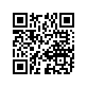 13383-41500 NEEDLE, JET (6DP17-2)