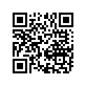 13383-41B01 .needle, Jet (5dm1-3)