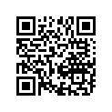 13383-41B10 .needle, Jet (5dm2-3)