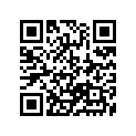 13383-42A10 .needle, Jet