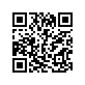 13383-43400-000 Needle, jet (507-3)