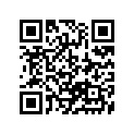 13383-43B10 NEEDLE,JET