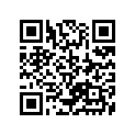 13383-44120-000 Jet, Main