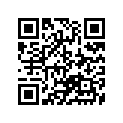 13383-44C40 .needle, Jet (5f11)
