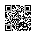 13383-45B00-000 Needle,jet (5e69-3)
