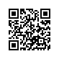 13383-45C30 .needle, Jet (5f69-1)