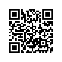 13383-46410 .needle, Jet (4f22-4)