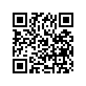 13383-46620 .needle, Jet (4029-3)