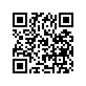 13383-48020 