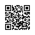 13383-48700-000 Jet, Main