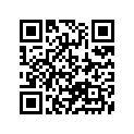 13383-48E70 .needle, Jet (5d83-1)