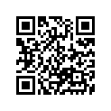 13387-17E00 RING