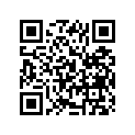 13387-41C00-000 Ring