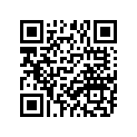 134-11311-01-00 