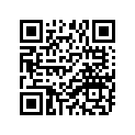 134-11610-22-00 Ring Set 2nd Ks