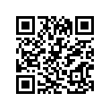 13413-38300 