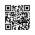 13416-28700 .cap, Lever