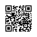 13418-24500 .cap, Plunger