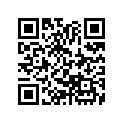 13421-428-000 WT,FR BALANCER