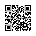 13430-428-000 Slipper,chain