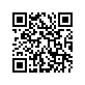 13509-33C00 O RING