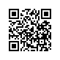 13543-02FA0 .lever