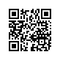 13553-01400-000 Lever