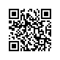 13573-38300 