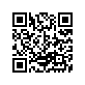 13581-46110 
