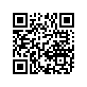 13617-12C00-000 E RING