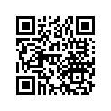 13621-286-010 Кольцо/шайба