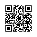 13671-33110 CLIP