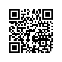 13698-10G01 HOSE