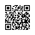 137-13137-00-93 Shim, Plunger