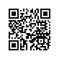 137-13185-00-00 