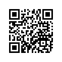 137-17417-05-00 Shim 1