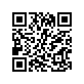 13751-46600 O RING