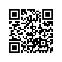 13780-03D00-000 FILTER,AIR